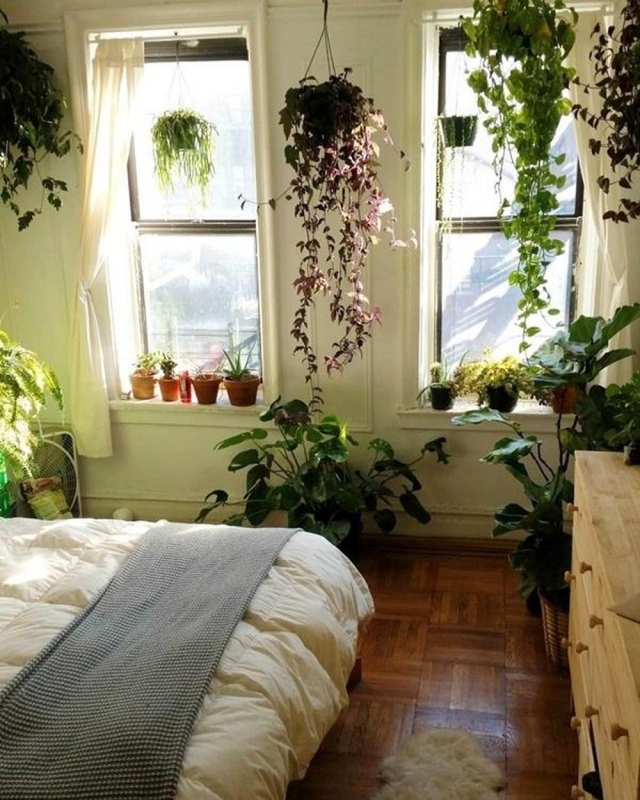 Không nên đặt nhiều cây xanh và hoa tươi trong phòng ngủ kín